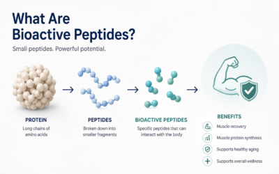 What Are Bioactive Peptides?